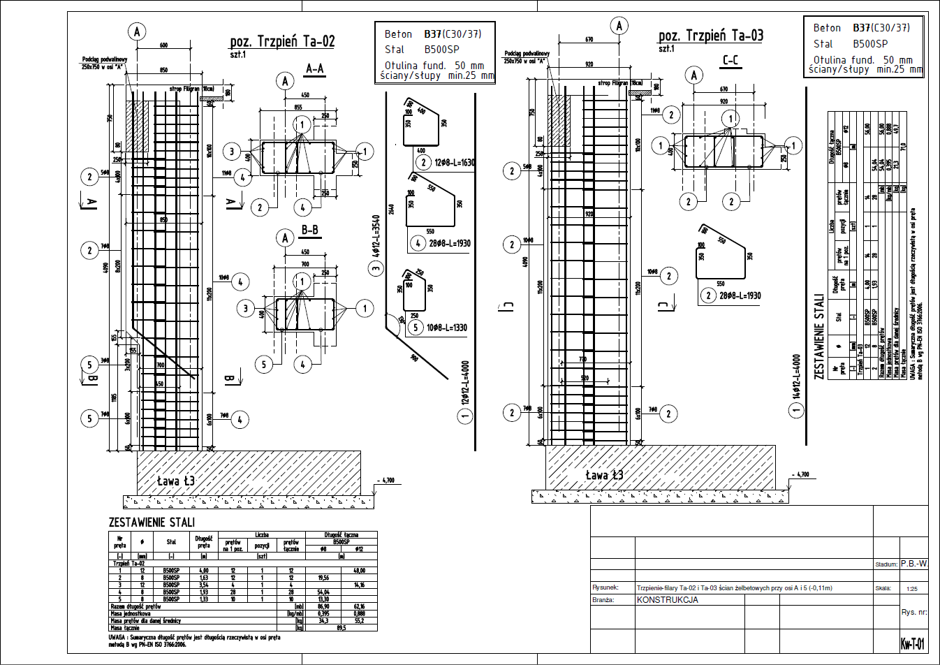 Trzpienie-filary Ta-02 i Ta-03 ścian żelbetowych przy osi A i 5 (-0,11m)